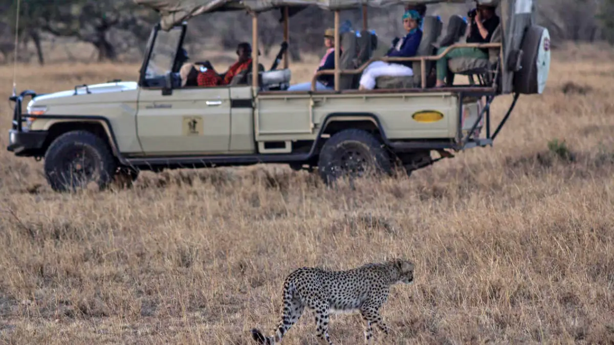 East Africa Explorer: Kenya and Uganda Adventure Safari
