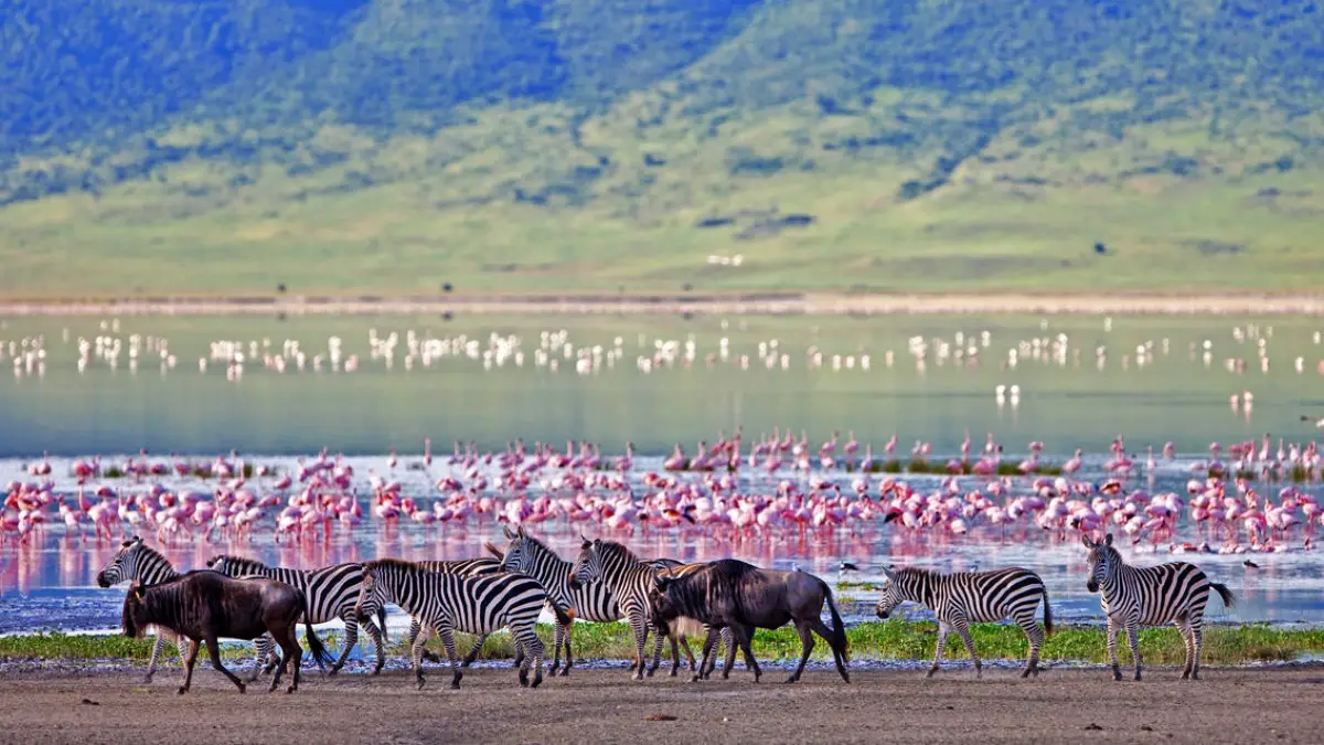 Ultimate Kenya And Tanzania Safari