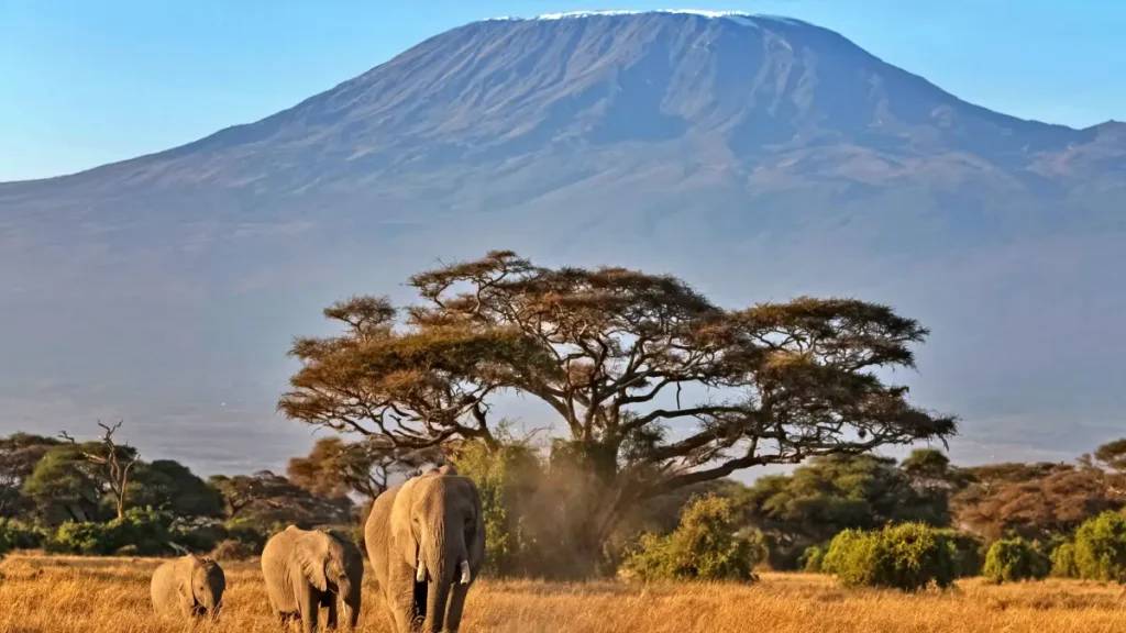 Tanzania Luxury