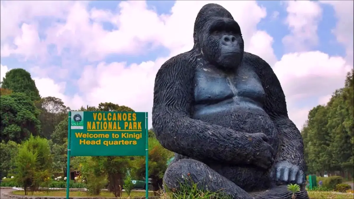 Kenya & Rwanda Mid Luxury Safari Experience