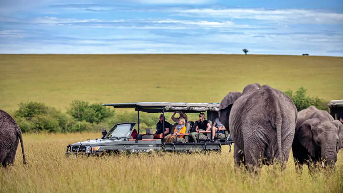 Ultimate Kenya And Tanzania Safari