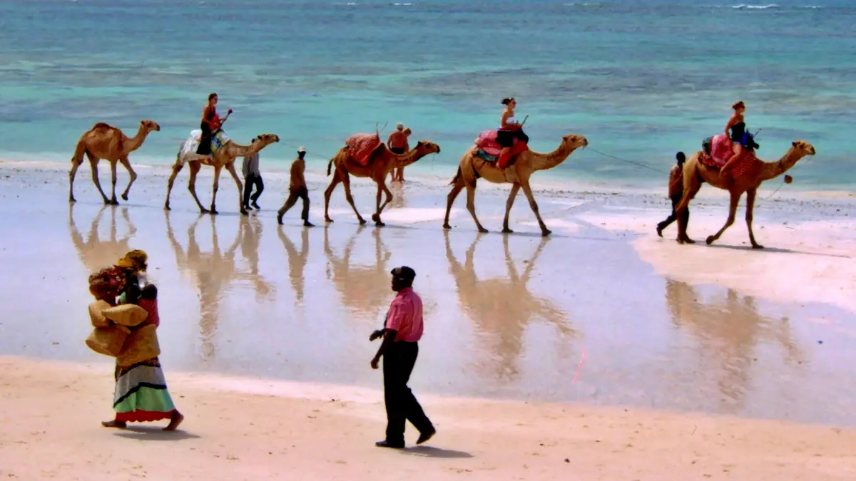 The Ultimate Kenya Bush & Beach Journey
