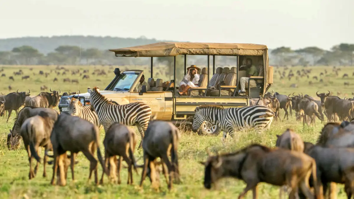 Serengeti & Northern Tanzania Safari