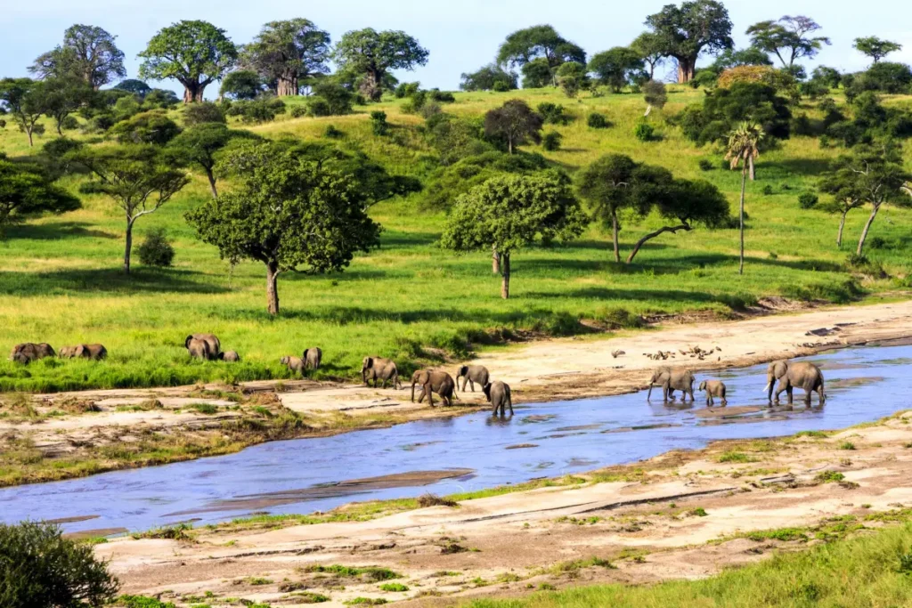 Kenya Mid-Range Safaris