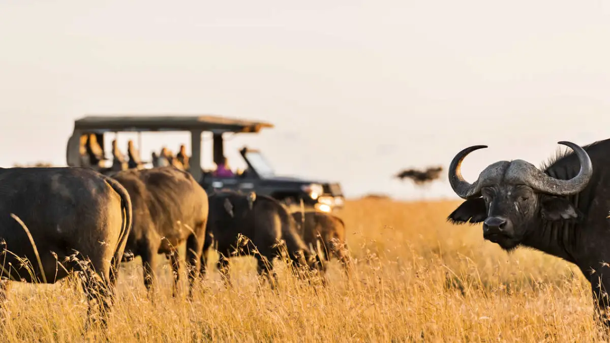 East Africa Explorer: Kenya and Uganda Adventure Safari