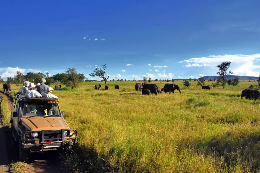 Tanzania Mid-Range Safaris
