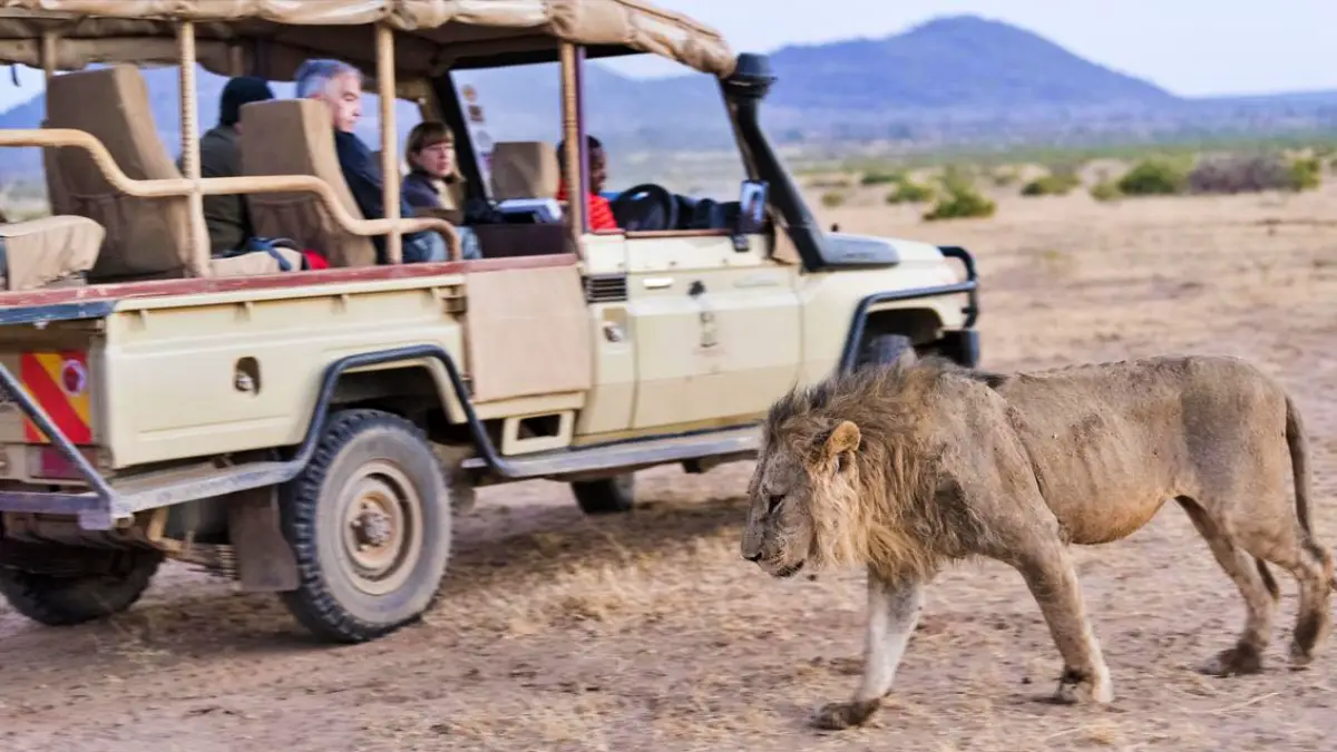 Kenya Luxury Comforts Safari