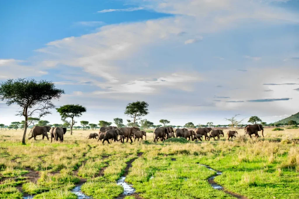Tanzania