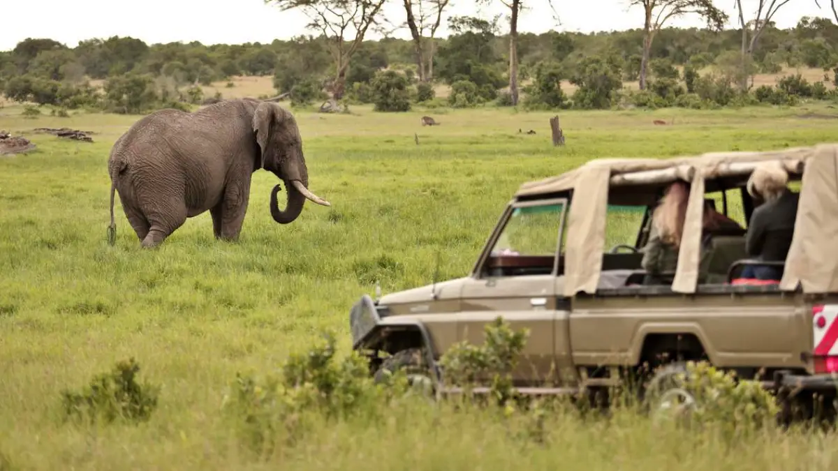 Kenya & Rwanda Mid Luxury Safari Experience