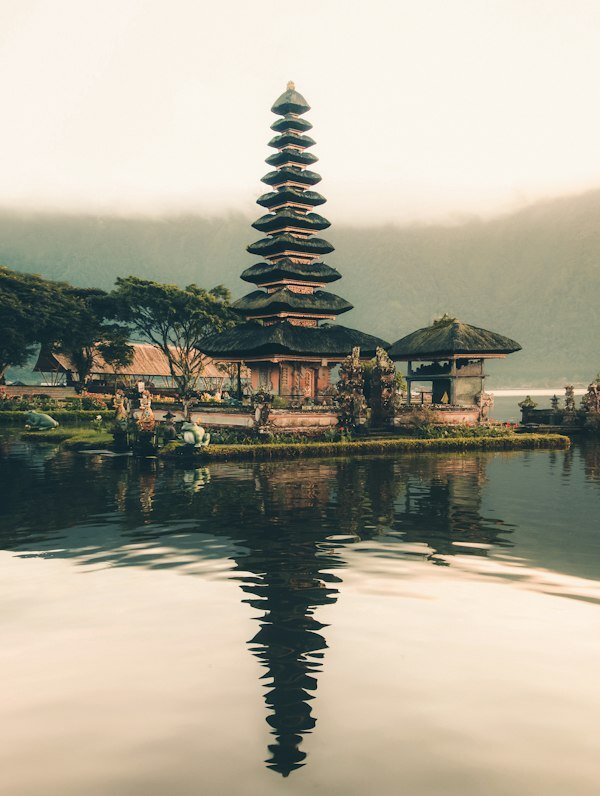 Bali rice terraces and tropical landscape