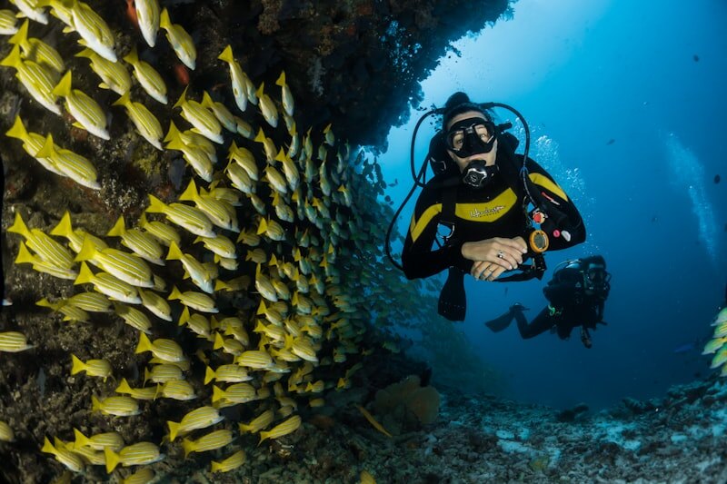 Mauritius Blue Bay Marine Park snorkelling luxury