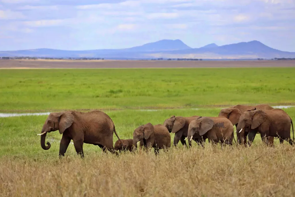 12-Day Tanzania Safari & Zanzibar Beach Holiday