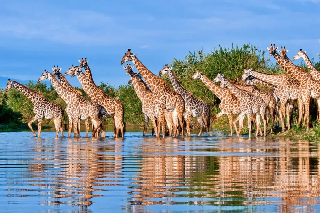 9-Day Ultimate Zanzibar And Nyerere Luxury Escape