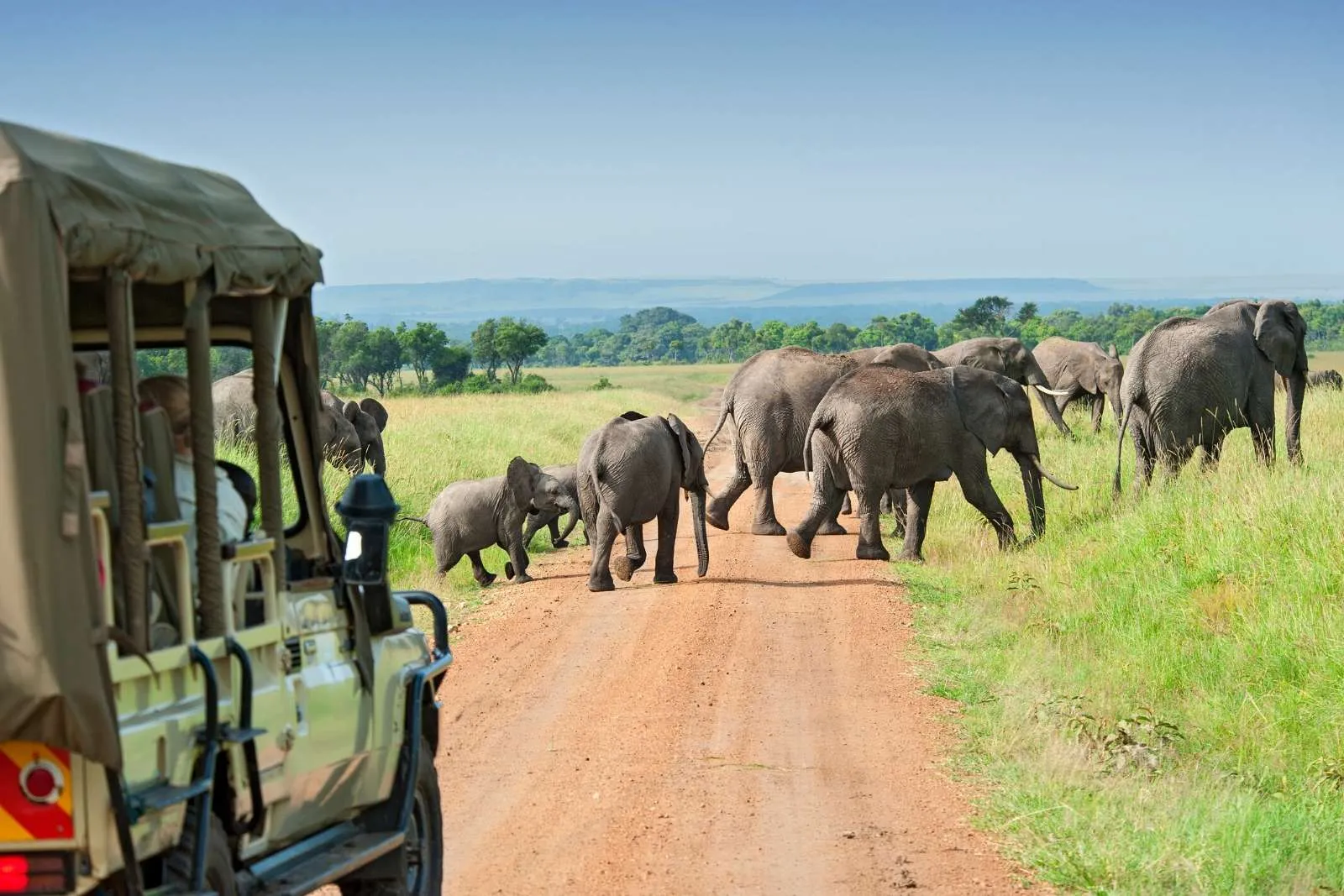 safari in kenya