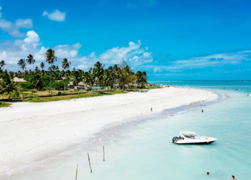 Family Trips to Mombasa