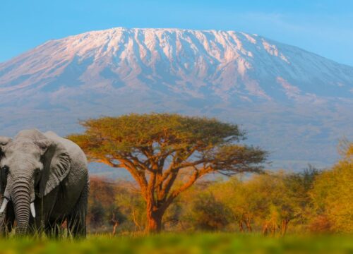 5-Day Mount Kenya Trekking Adventure – Chogoria Route (Optional Sirimon-Chogoria Traverse)