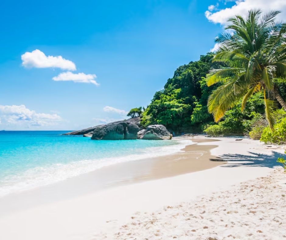 Best Time to Visit Diani Beach, Kenya