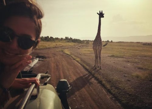 Top Kenya Safari Tours to Book This Season