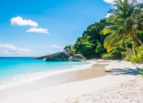 Watamu Beach Holidays