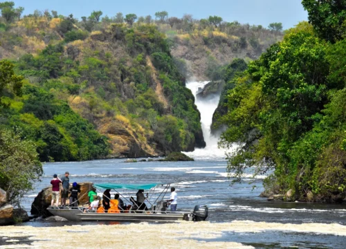 3 Day Murchison falls Expedition