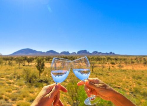 Cape Town Wine Tours and Safaris
