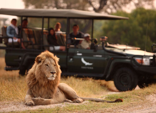 9-Day Ultimate Kenya Safari Across Samburu, Ol Pejeta, Nakuru & Mara