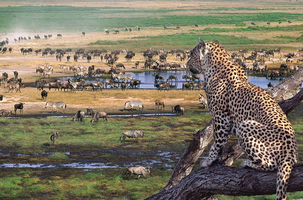 Rwanda