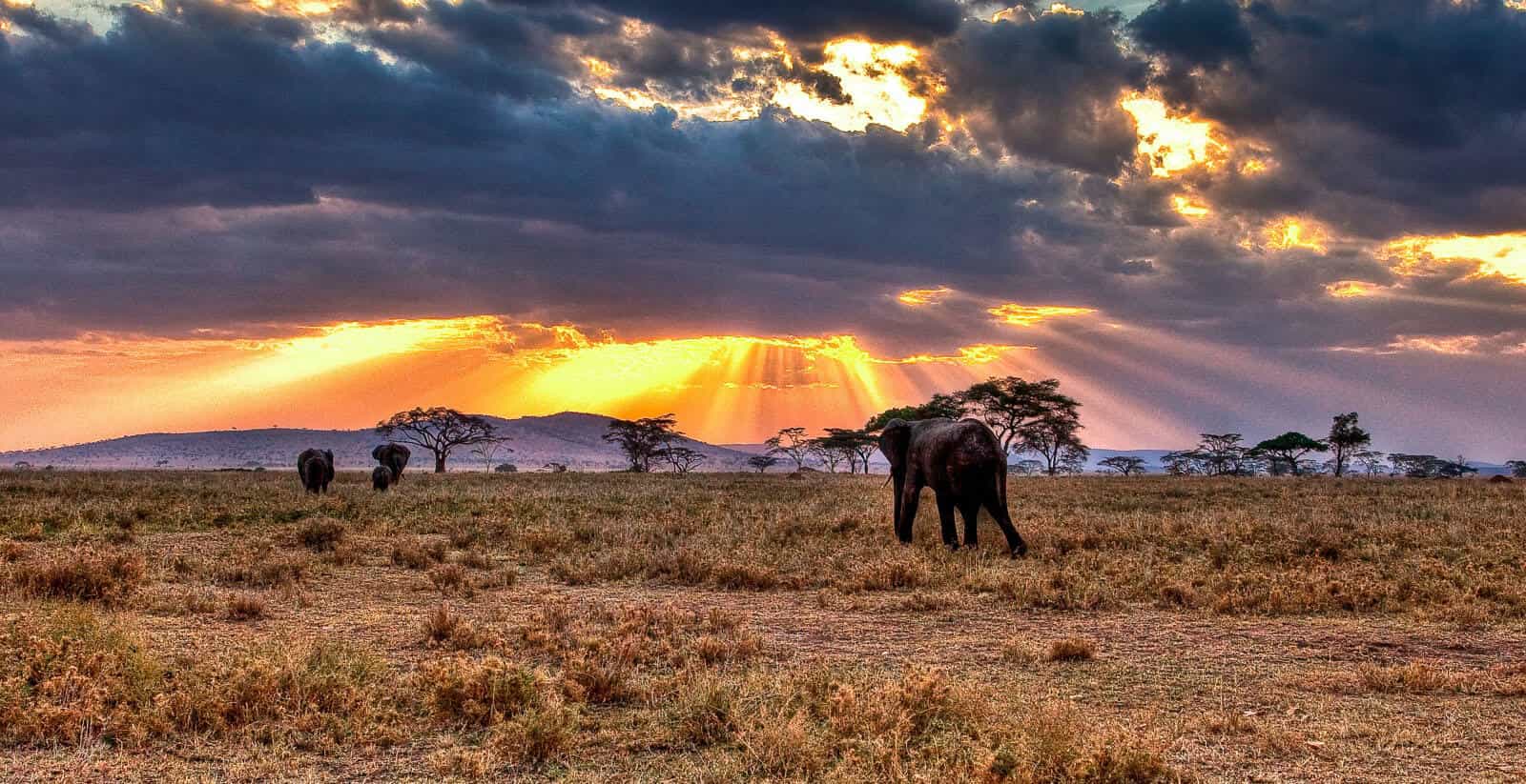 13-Day Tanzania Beach & Wildlife Safari Adventure