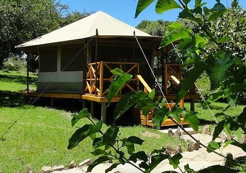 Ol Moran Tented Camp