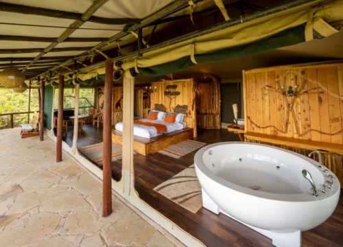 Rhino Lodge
