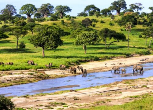 10-Day Budget Safari in Tanzania