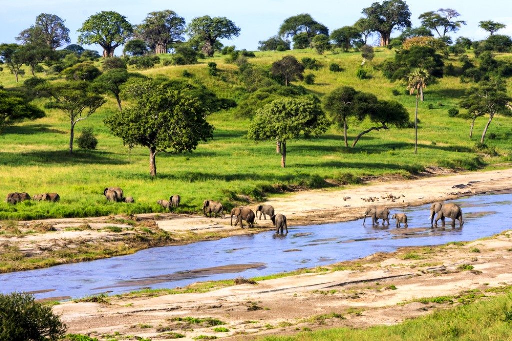10-Day Budget Safari in Tanzania