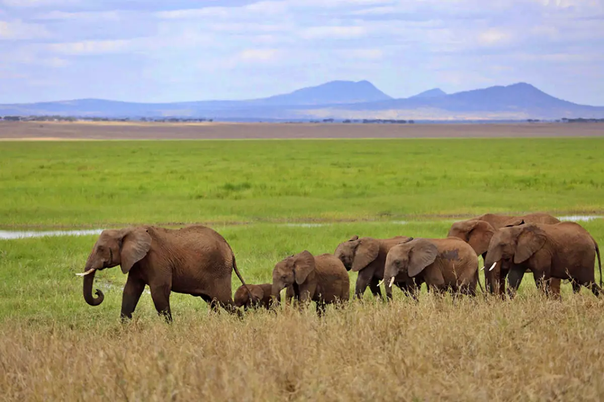 Tanzania and Zanzibar Beach Holiday Safari
