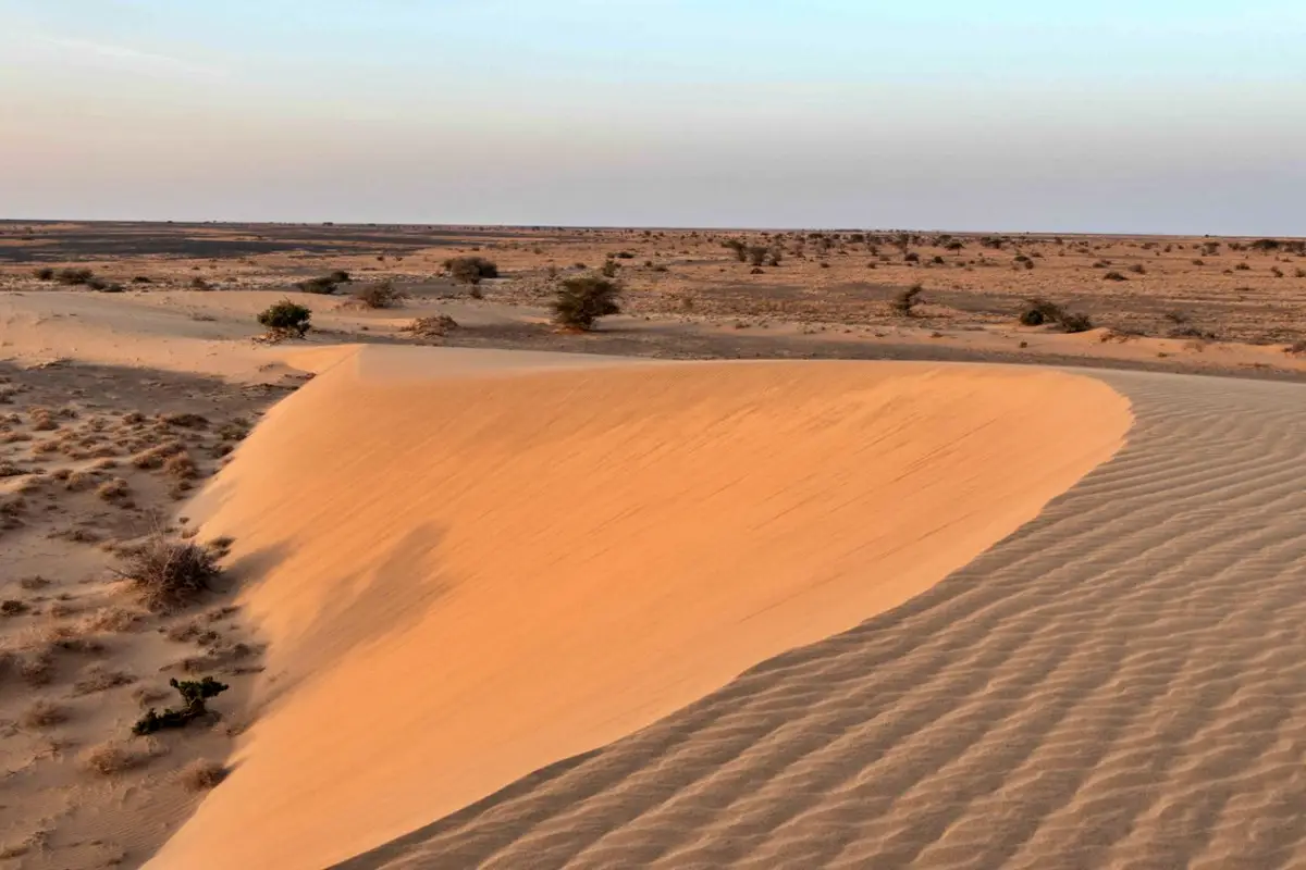 5 Days Chalbi Desert Adventure and Oasis Experience