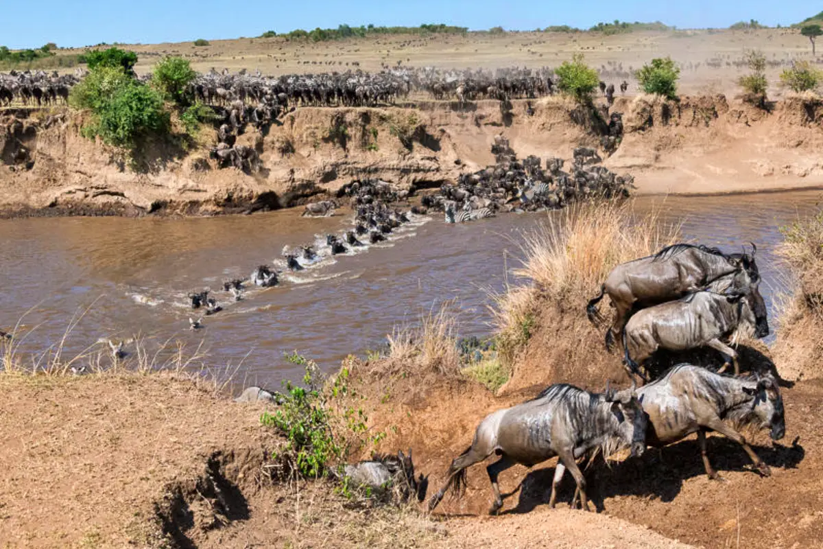Rift Valley & Maasai Mara Safari Adventure