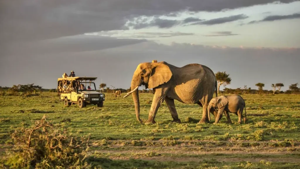 Mara Serena Flying Safari Package