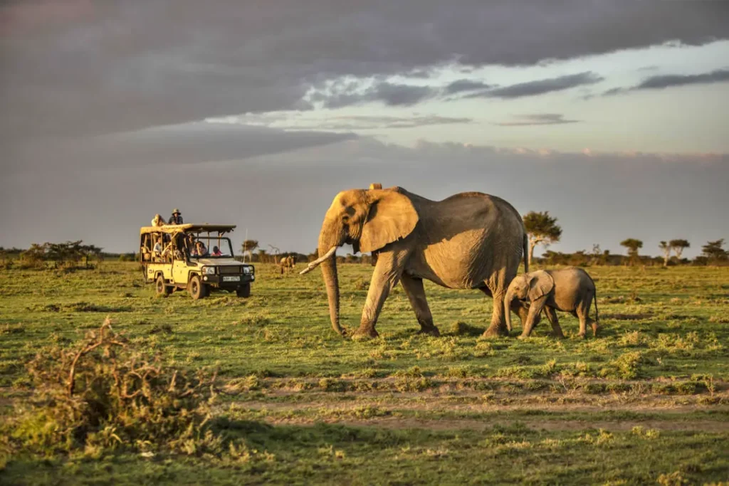 3-Day Mara Serena Flying Safari Package
