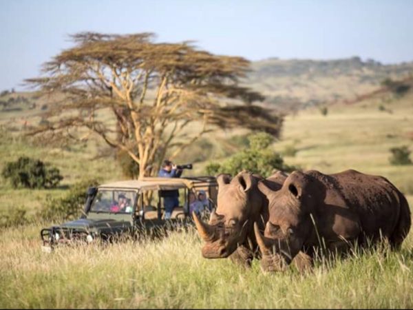 4-days-Masai-Mara-luxury-safaria