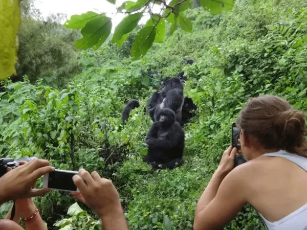 Best-honeymoonn-destination-in-Uganda-1024x675