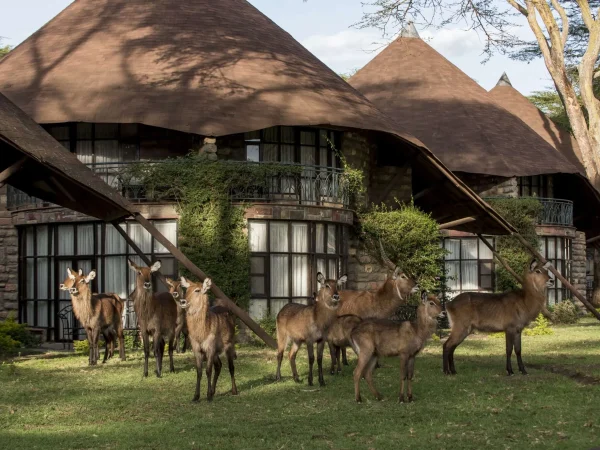 Lake-Naivasha-Sopa-Resort-80-scaled