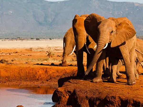 Tsavo-East-National-Park (1)